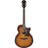 Ibanez AE160 VMS Acoustic Guitar