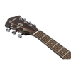 Ibanez AE160 VMS Acoustic Guitar