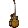 Ibanez AE160 VMS Acoustic Guitar