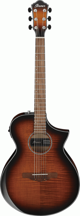 Ibanez AEWC400 AMS Acoustic/Electric Guitar