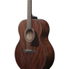 Ibanez AJ54E OPN Acoustic Guitar