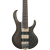 Ibanez BTB605 TGF 5 String Bass Guitar in Transparent Grey Flat