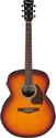 Ibanez PJ50E OAH Acoustic Guitar