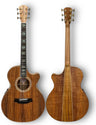 Cole Clark TL 3 Series Thinline Australian Blackwood CCTL3EC-BLBL