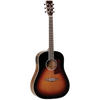 Tanglewood 15SDTE Sundance Performance Pro Sloped Shoulder Dreadnought Torrefied Top with ABS Case