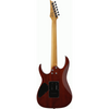 Ibanez RG220PA1 BKB Electric Guitar