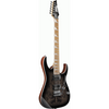 Ibanez RG220PA1 BKB Electric Guitar