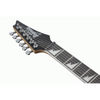 Ibanez RG220PA1 BKB Electric Guitar