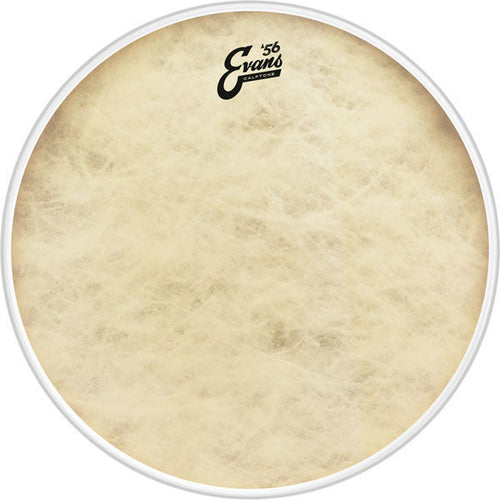 Evans Calftone Bass Drum Head, 26 Inch, Evans, Haworth Music